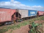 RUMO HPT-033734-0